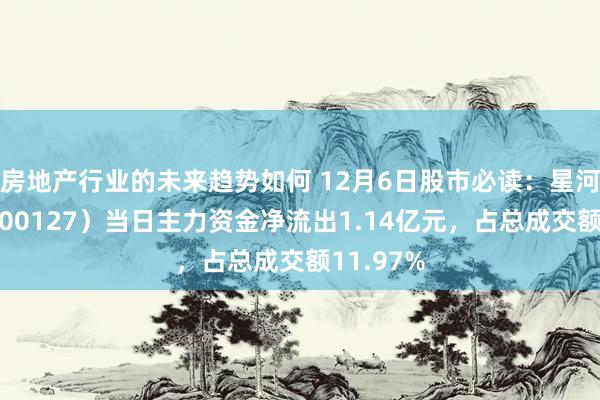 房地产行业的未来趋势如何 12月6日股市必读：星河磁体（300127）当日主力资金净流出1.14亿元，占总成交额11.97%