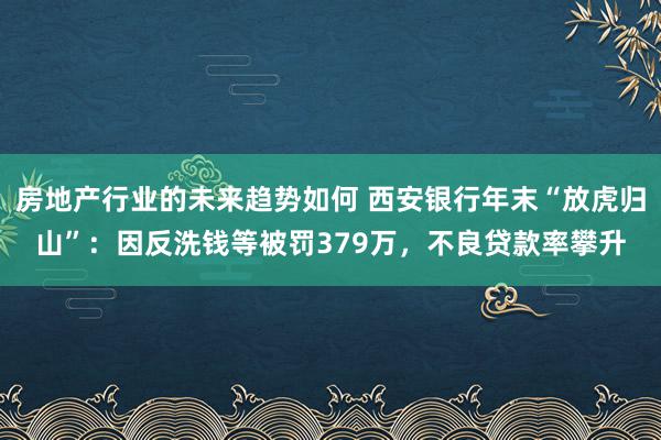 房地产行业的未来趋势如何 西安银行年末“放虎归山”：因反洗钱等被罚379万，不良贷款率攀升