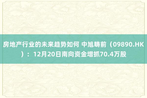 房地产行业的未来趋势如何 中旭畴前（09890.HK）：12月20日南向资金增抓70.4万股