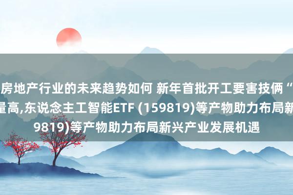 房地产行业的未来趋势如何 新年首批开工要害技俩“新质分娩力”含量高,东说念主工智能ETF (159819)等产物助力布局新兴产业发展机遇