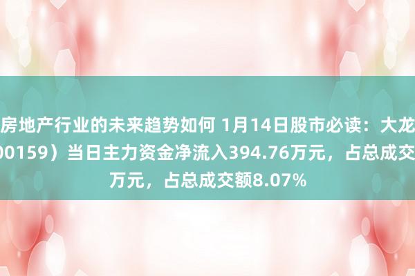 房地产行业的未来趋势如何 1月14日股市必读：大龙地产（600159）当日主力资金净流入394.76万元，占总成交额8.07%