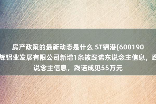 房产政策的最新动态是什么 ST锦港(600190)参股的赤峰启辉铝业发展有限公司新增1条被践诺东说念主信息，践诺成见55万元