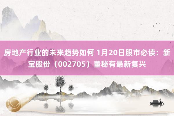 房地产行业的未来趋势如何 1月20日股市必读：新宝股份（002705）董秘有最新复兴