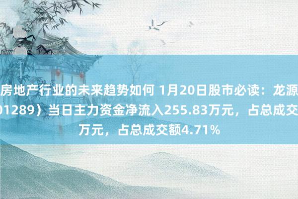 房地产行业的未来趋势如何 1月20日股市必读：龙源电力（001289）当日主力资金净流入255.83万元，占总成交额4.71%