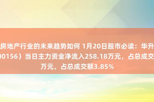 房地产行业的未来趋势如何 1月20日股市必读：华升股份（600156）当日主力资金净流入258.18万元，占总成交额3.85%