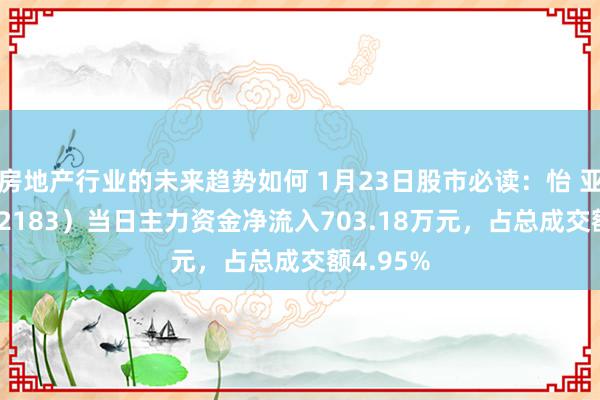 房地产行业的未来趋势如何 1月23日股市必读：怡 亚 通（002183）当日主力资金净流入703.18万元，占总成交额4.95%