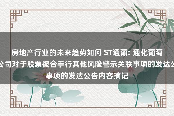 房地产行业的未来趋势如何 ST通葡: 通化葡萄酒股份有限公司对于股票被合手行其他风险警示关联事项的发达公告内容摘记