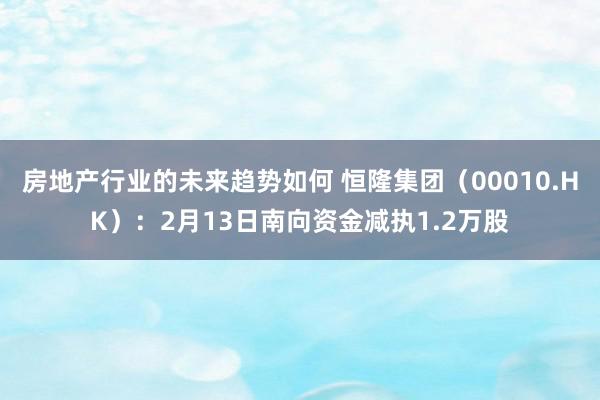 房地产行业的未来趋势如何 恒隆集团（00010.HK）：2月13日南向资金减执1.2万股