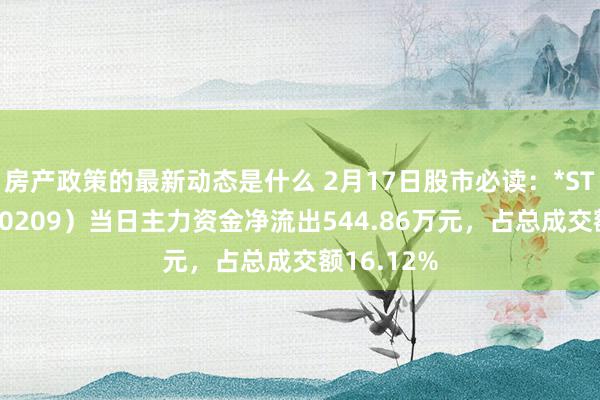 房产政策的最新动态是什么 2月17日股市必读：*ST有树（300209）当日主力资金净流出544.86万元，占总成交额16.12%