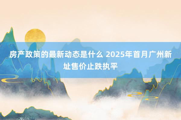 房产政策的最新动态是什么 2025年首月广州新址售价止跌执平