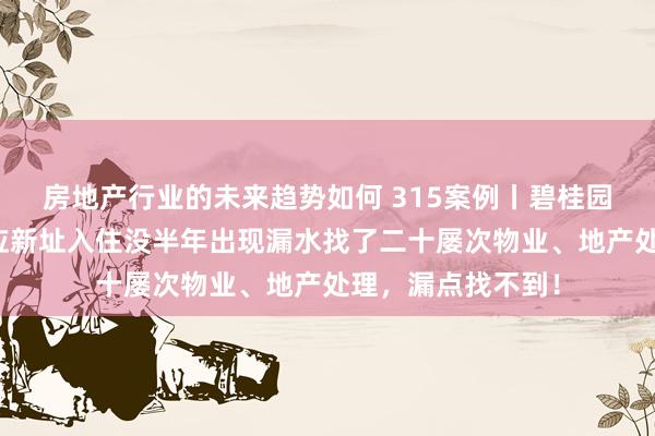 房地产行业的未来趋势如何 315案例丨碧桂园云顶二期业主反应新址入住没半年出现漏水找了二十屡次物业、地产处理，漏点找不到！