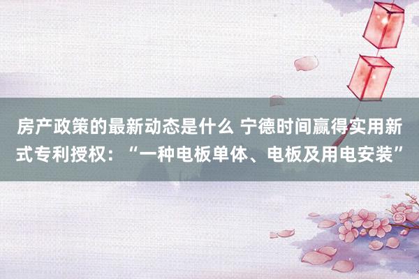 房产政策的最新动态是什么 宁德时间赢得实用新式专利授权：“一种电板单体、电板及用电安装”